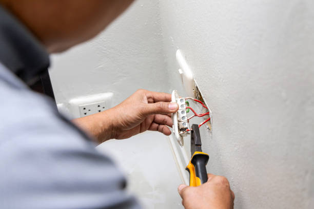 Best Ceiling Fan Installation Electrician  in Edinburg, VA