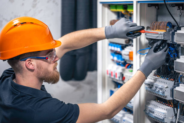 Best Electric Panel Repair  in Edinburg, VA
